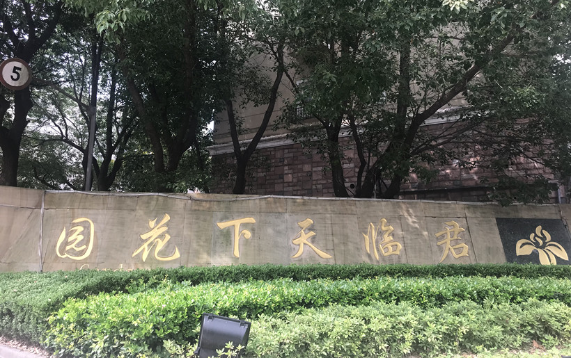 上海?君臨天下無井道無底坑別墅電梯客戶設計方案